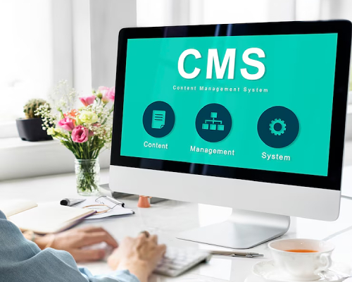 CMS Development